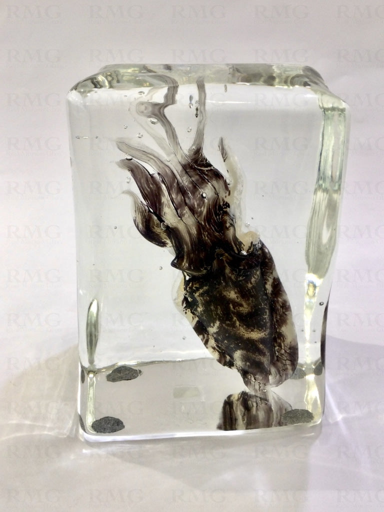 Squid Block Murano Glass